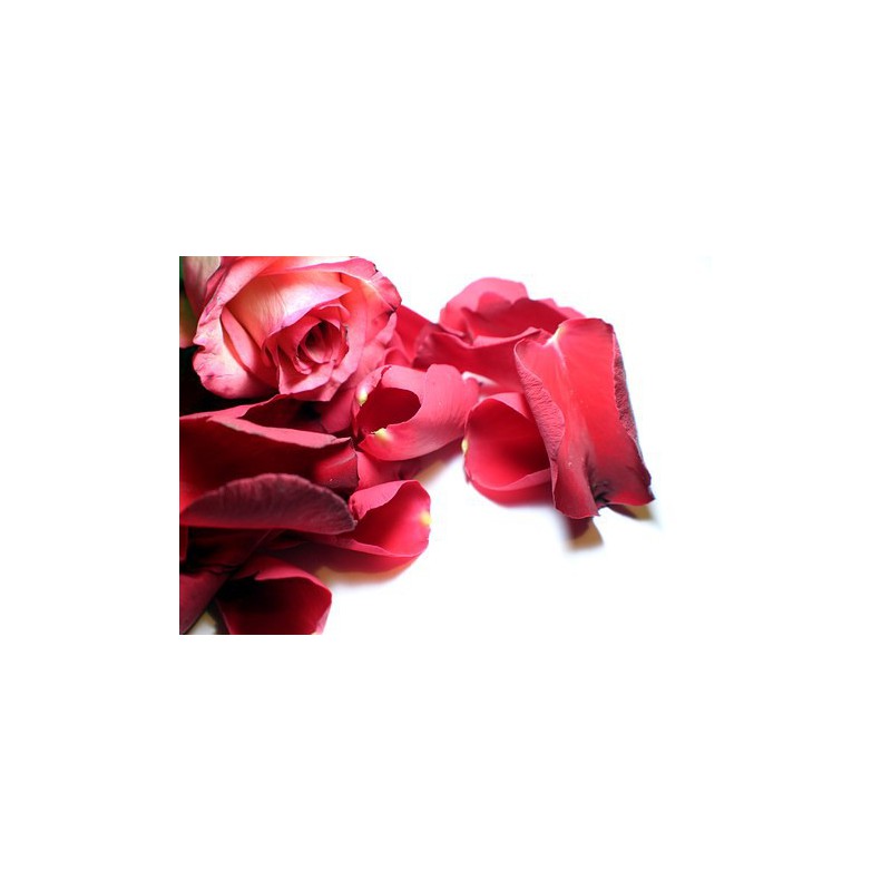 Pétalos de rosa de seda, 3000 pétalos, rosas -  España