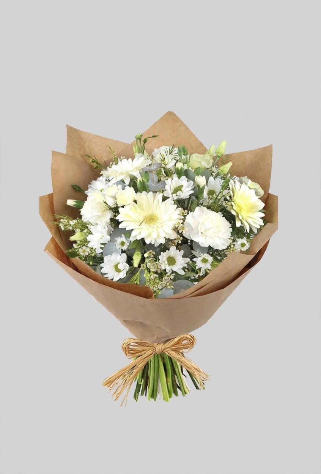 Ramo Pureza