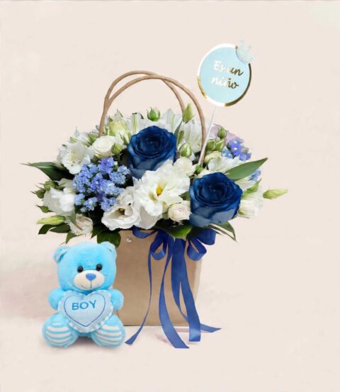 Box Nacimiento Azul