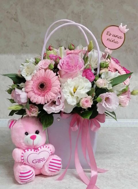 Box Nacimiento Rosa